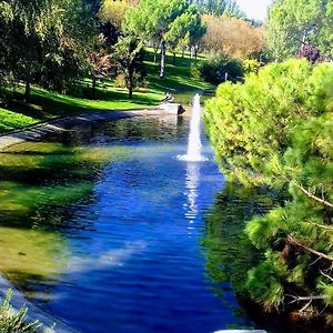 Pradera de San Isidro
